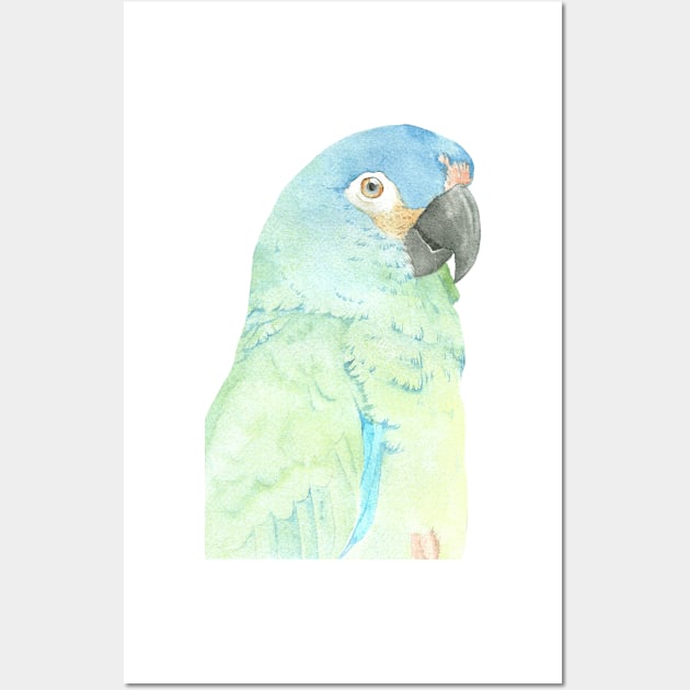 blue-winged macaw parrot portrait watercolor painting tropical pet v2 Wall Art by Oranjade0122